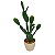 CACTO DECORATIVO EM PLASTICO E CERAMICA BEGE 18CM X 14CM X 6 - Imagem 1