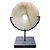 P DECORATIVA DE CERAMICA DE CERAMICA - Imagem 1