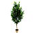 PLANTA ARTIFICIAL OLIVEIRA 55CM X 54CM X 151CM - Imagem 1