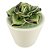 VASO COM SUCULENTA DE CERAMICA 7,4CM X 7,4CM X 8,2CM - Imagem 1