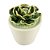 VASO COM SUCULENTA DE CERAMICA 7,3CM X 7,3CM X 9,8CM - Imagem 1