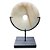 P DECORATIVA DE CERAMICA DE CERAMICA - Imagem 1