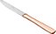 CJ 12 FACAS DE AÇO INOX P/MESA PVD ROSÉ GOLD PISA - Imagem 1