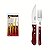 JOGO CHURASCO INOX 4PC POLYWOOD VER - Imagem 1