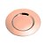 CJ 6 SOUSPLATS VIROLA ROSE 33cm - Imagem 1