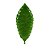 FOLHA DECORATIVA CERÂMICA VERDE 32x12x4cm - Imagem 3