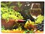TABUA PARA CORTE DE VIDRO UVAS 30X40CM - Imagem 1