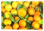 TABUA DE VIDRO 30X40CM LARANJA - Imagem 1