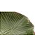 FOLHA DECORATIVA DE CERÂMICA BANANA LEAF VERDE 16x15,5x4,5cm - Imagem 4