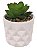 VASO SUCULENTA OPTIC CERAMICA E PLASTICO 7,5X10CM BRANCA - Imagem 1