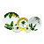 APARELHO JANTAR 42PC PORCELANA SUPER WHITE FOLHA BANANEIRA - Imagem 1