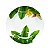 APARELHO JANTAR 42PC PORCELANA SUPER WHITE FOLHA BANANEIRA - Imagem 4