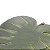 PRATO CORATIVO  CERÂMICA COSTELA  ADÃO LEAF VER 22x22x3,5 - Imagem 4