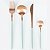 FAQUEIRO 24PC AÇO INOX KYOTO ROSÉ GOLD/MINT - Imagem 1