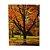 CAIXA LIVRO PAPEL RÍGIDO NATURE VIVENDA 36x27x5cm - Imagem 2
