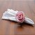 CJ 4 ANÉIS DE PLÁSTICO P/GUARDANAPO ROSA BRANCA 12,5X4cm - Imagem 5