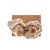 FIGURA DECORATIVA RESINA FAMÍLIA BRANCO 9x6x20cm - Imagem 4