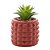 CACHEPOT DE CIMENTO COM SUCULENTA SPIKES TERRACOTA 10CM X 15CM - WOLFF - Imagem 1