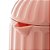 GARRAFA TÉRMICA DE PLÁSTICO BIRD ROSA 1L - WOLFF - Imagem 2