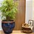 VASO RUSTICO DE CERAMICA IMPORTADO MARRAKECH AZUL D71XA66CM - Imagem 3