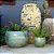 BACIA VIETNAMITA CERAMICA IMPORTADA NEPAL MUSGO D55XA38CM - Imagem 5