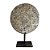 ESCULTURA MASCARA TRIBAL DAYAK EM MADEIRA WHITEWASH COM SUPORTE A66CM - Imagem 1