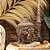 CABECA DE BUDA DECORATIVA EM MADEIRA WHITEWASH A40CM - Imagem 3