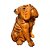 ESCULTURA CACHORRO MADEIRA NATURAL 40CM - Imagem 4