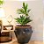 VASO PREMIUM CERAMICA IMPORTADO DRAGAO MESCLADO D53XA54CM - Imagem 3
