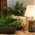 FLOREIRO PREMIUM CERAMICA IMPORTADO VERDE 48X22XA20CM - Imagem 4