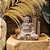 ESCULTURA IMPORTADA BUDA MADEIRA ANTIGA BRANCA L25XA30CM - Imagem 4