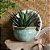 BACIA VIETNAMITA CERAMICA IMPORTADO GRECIA PP MUSGO D38XA23CM - Imagem 3