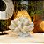 CORAL DECORATIVO EM RESINA COLECAO OCEAN ART L20XA16CM - Imagem 3