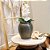 VASO CERAMICA IMPORTADO GALES RUSTICO DE VERDE D26XA30CM - Imagem 4