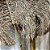 FOLHAGEM BALI DECORATIVA SANUR EM FIBRA NATURAL A210CM - Imagem 2