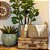 CESTO RATTAN BALI RETANGULAR NATURAL - Imagem 3