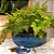 BACIA VIETNAMITA CERAMICA IMPORTADA ITALIA AQUA D28XA13CM - Imagem 3
