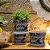 CACHEPOT PORCELANA AZUL E BRANCA RAMO FLORAL D14XA11CM - Imagem 4