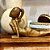 ESCULTURA YOGA BALI MADEIRA NATURAL 32CM - Imagem 4
