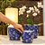 CACHEPOT PORCELANA AZUL E BRANCA DENTE DE LEAO D14XA14CM - Imagem 3