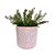 CACHEPOT CERAMICA TERRACOTA TRABALHADO HINDI - Imagem 3