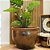 VASO RUSTICO DE CERAMICA IMPORTADO XANGAI MARROM D83XA61CM - Imagem 3