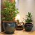 VASO RUSTICO DE CERAMICA IMPORTADO DRAGAO VERDE D74XA65CM - Imagem 5
