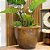 VASO RUSTICO DE CERAMICA IMPORTADO XANGAI MARROM D66XA56CM - Imagem 3