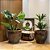 VASO RUSTICO DE CERAMICA IMPORTADO XANGAI MESCLADA D66XA56CM - Imagem 3