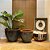 VASO RUSTICO DE CERAMICA IMPORTADO XANGAI VERDE D66XA56CM - Imagem 3