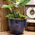 VASO RUSTICO DE CERAMICA IMPORTADO XANGAI AZUL D66XA56CM - Imagem 3
