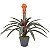PLANTAS ARTIFICIAIS - Imagem 1