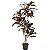 PLANTAS ARTIFICIAIS - Imagem 1