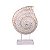 CONCHA DE RESINA COM PEDESTAL BEGE - Imagem 1